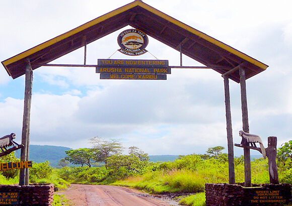 Arusha National Park Game Drive & Canoeing