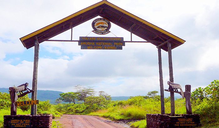 Arusha National Park Game Drive & Canoeing