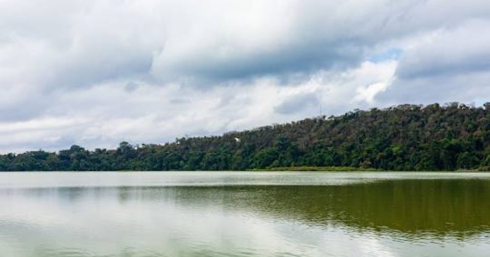 Lake Duluti Canoeing & Nature Walk