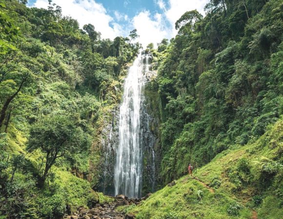 Materuni Waterfalls & Chagga Coffee Experience
