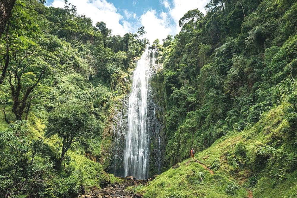 Materuni Waterfalls & Chagga Coffee Experience