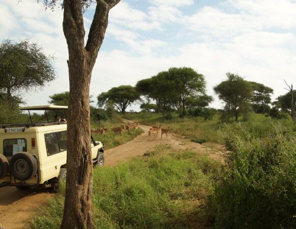5-Days Tanzania Safari (Arusha Start & End)