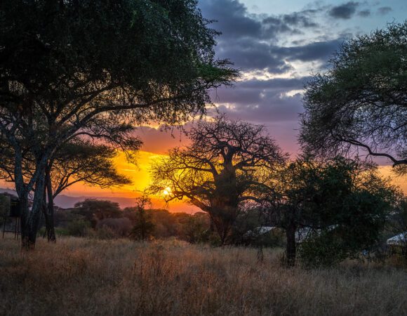 2-Days Ngorongoro & Tarangire Express Safari