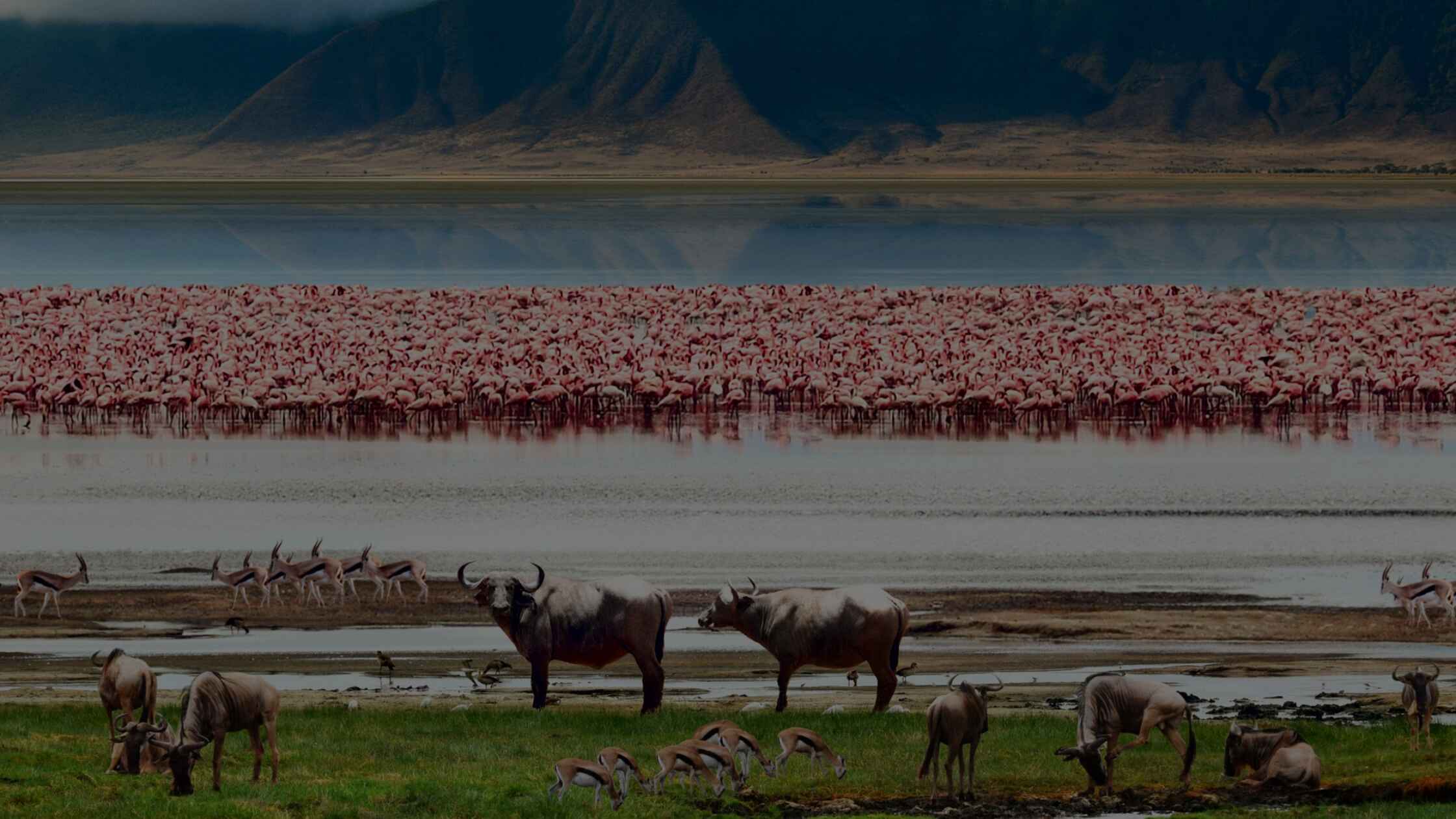 Ngorongoro Crater (Tanzania)
