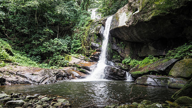 Udzungwa Mountains National Park