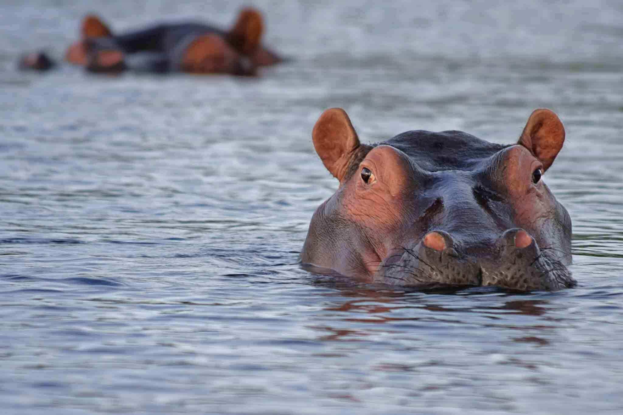 Tarangire, Lake Manyara & Ngorongoro Safari