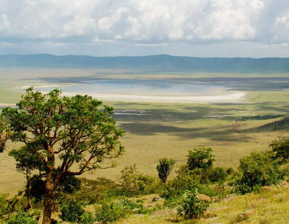 4-Days Classic Northern Circuit Safari