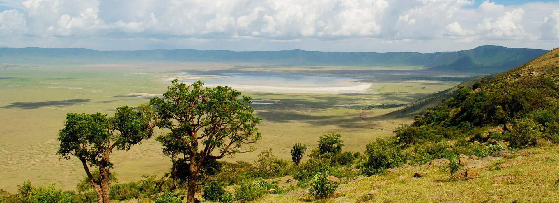 Tarangire & Ngorongoro Safari Escape