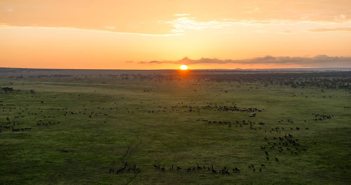 Tarangire, Serengeti & Ngorongoro Crater Safari