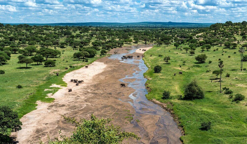 Tarangire, Serengeti & Ngorongoro Crater Safari