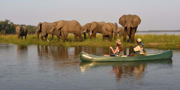 View the Migration