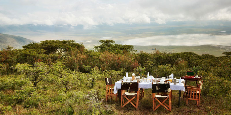 Enjoy Meal in the Wildness