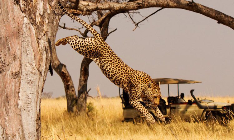 Akagera National Park