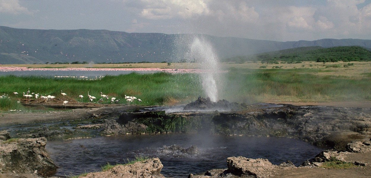 Serengeti,  Home of Predators