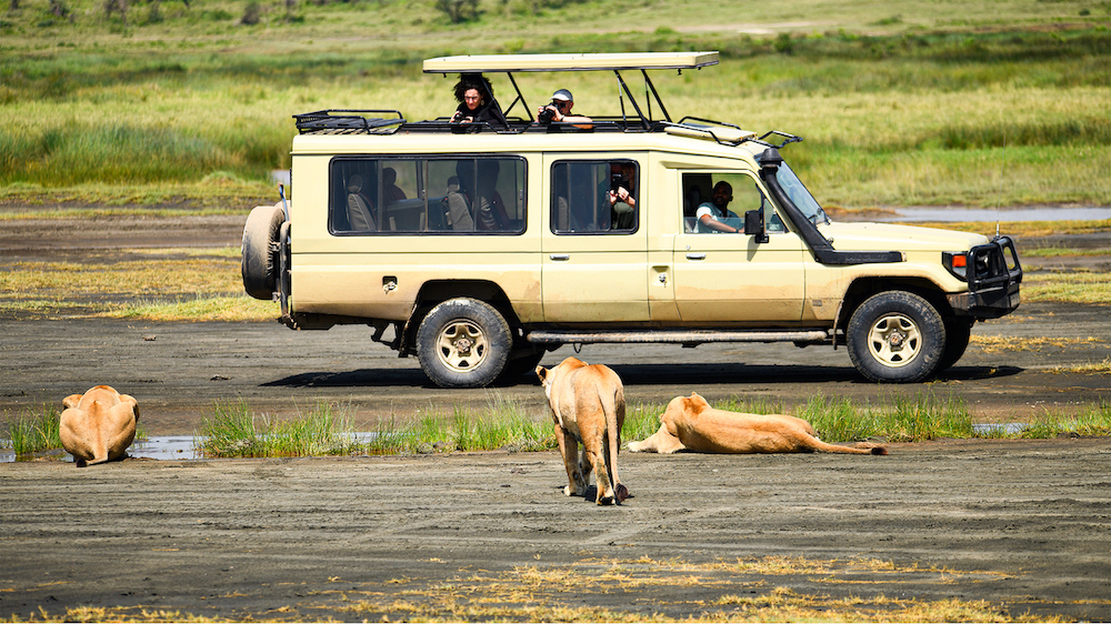 Game Drive