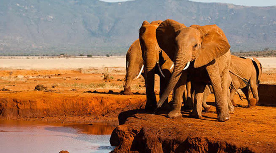 Tsavo National Park