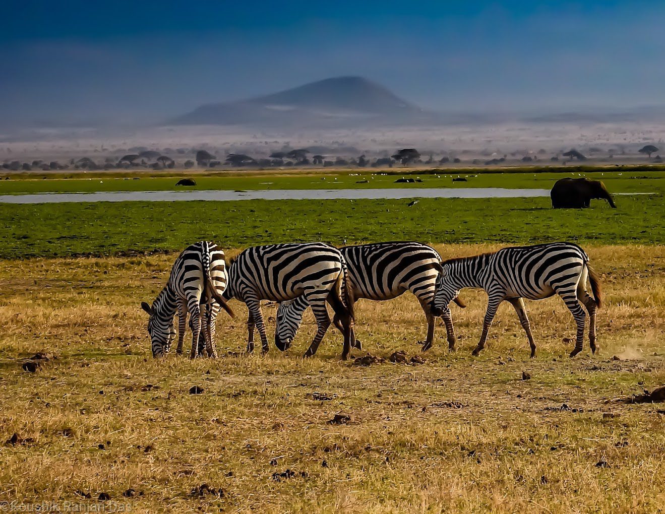 Amboseli National Park