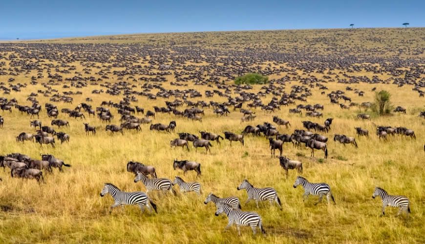 Maasai mara Nationa Park