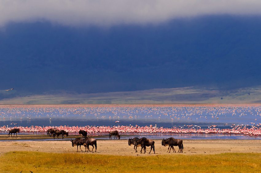 Serengeti Nationa Park