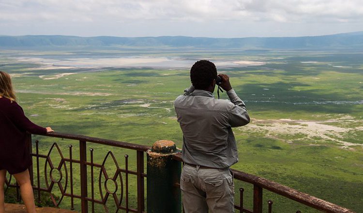 migrate from the southern Serengeti